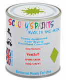 Paint Mixed Vauxhall Vivaro Spring Green 10G/30Y Basecoat Car Spray Paint