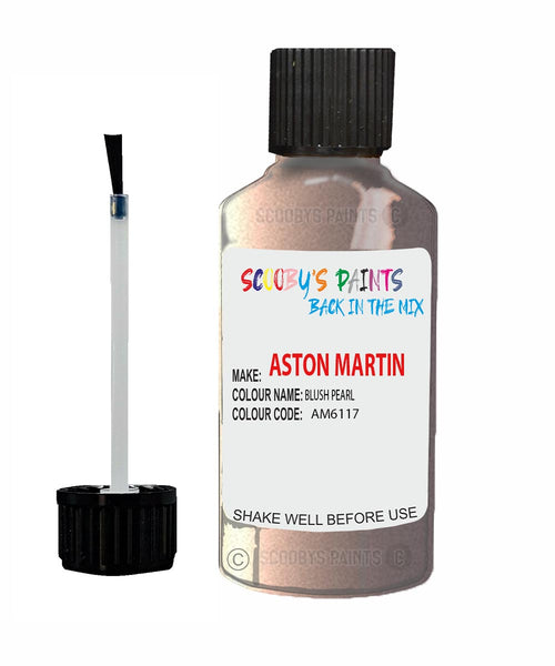Paint For Aston Martin V12 VANTAGE BLUSH PEARL Code: AM6029d Car Touch Up Paint