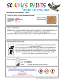 Paint For Citroen C35 Van Beige Camoscio Code 579F Touch Up Paint