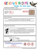 Paint For Citroen C2 Beige Colorado Code 550F Touch Up Paint Scratch Stone Chip