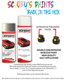 Paint For DACIA logan Code A19 Aerosol Spray for body panel crash repair