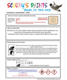 Paint For Vauxhall Cavalier Light Ivory Code 0U1/611/62L Touch Up Paint