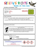 Paint For Vauxhall Vivaro Spring Green Code 10G/30Y/ Touch Up Paint