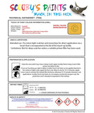 Paint For Vauxhall Astra Sunny Melon Code 40Q/Aju/Apu Touch Up Paint