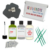 DODGE GREEN GO Paint Code PGM Touch Up Paint Repair Detailing Kit