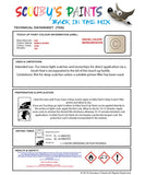 Paint For Fiat/Lancia 500 Bianco Avorio Code 020B Car Touch Up Paint