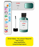 Ford Focus C-Max Verdigris V paint where to find my paint code
