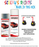 ford fiesta avalon aerosol spray car paint can with clear lacquer