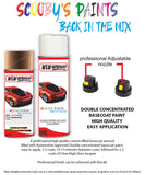ford c max burnished glow aerosol spray car paint can with clear lacquer