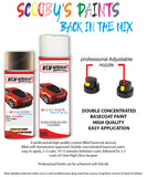 ford focus caribou aerosol spray car paint can with clear lacquer