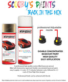 ford fiesta fashionista aerosol spray car paint can with clear lacquer