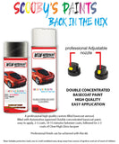 ford b max magnetic aerosol spray car paint can with clear lacquer