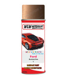 spray paint aerosol basecoat chip repair panel body shop dent refinish ford focus-burnished-glow-aerosol-spray
