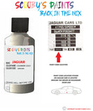 jaguar xf cashmere gold paint code location sticker plate gdr touch up Paint