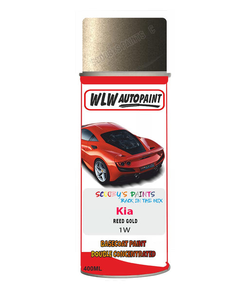 Aerosol Spray Paint For Kia Carnival Reed Gold Colour Code 1W