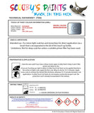 Mitsubishi L300 Arctic Blue Code B80 Touch Up paint instructions for use how to paint car