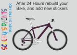 RAL4007-Purple violet-400ml Bascoat Bicycle Paint For Respray