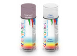 Bike Respray Aerosol Spray Paint RAL4009 Pastel violet