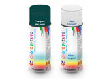 Bike Respray Aerosol Spray Paint RAL6004 Blue green