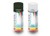 Bike Respray Aerosol Spray Paint RAL6007 Bottle green