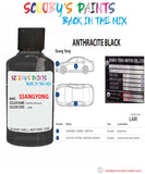 ssangyong kyron anthracite black lam Scratch score repair paint