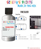 ssangyong kyron fine silver saf Scratch score repair paint