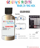 ssangyong rodius golden beige eah Scratch score repair paint