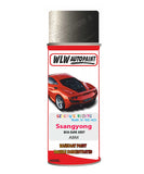 Aerosol Spray Paint For Ssangyong Musso Mus-Dark Grey Code Abm