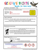 Paint For Tesla Model X Poire Vert Code 4Gn01 Touch Up Scratch Stone Chip Repair