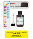 Paint For Ford Focus Dark Mulberry Code Jrwlwha Touch Up Paint