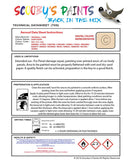 vauxhall cavalier light ivory spray paint anti rust primer undercoat