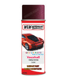 spray paint aerosol basecoat chip repair panel body shop dent refinish vauxhall cascada purple fiction 