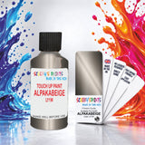 Paint For Audi A8 Alpaka Beige Code Y1W Touch Up Paint Scratch Stone Chip Repair