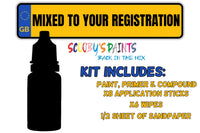 Mixed By Reg Aerosol Touch Up Kits VIN Registration Paint Mix To Code OEM Colours Car Automotive Van Bus Motorbike
