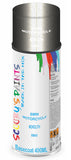 Aerosol for BMW Motorcycles R Nine T