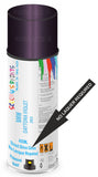 bmw 5 series daytona violet 283 2-pack 2k spray direct shine gloss paint Aerosol Spray Paint