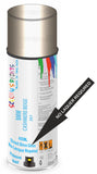 bmw 7 series cashmere beige 301 2-pack 2k spray direct shine gloss paint Aerosol Spray Paint