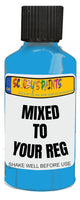 Mixed By Reg Aerosol Touch Up Kits VIN Registration Paint Mix To Code OEM Colours Car Automotive Van Bus Motorbike