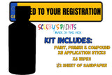 Mixed By Reg Aerosol Touch Up Kits VIN Registration Paint Mix To Code OEM Colours Car Automotive Van Bus Motorbike