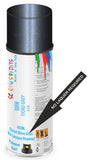 bmw 7 series fjord gray 310 2-pack 2k spray direct shine gloss paint Aerosol Spray Paint