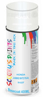 Aerosol for Honda Motorcycles RS150