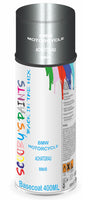 Aerosol for BMW Motorcycles R 1250 RS