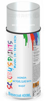 Aerosol for Honda Motorcycles NC700