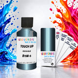 Scooby’s Paints 30ml touch up paint suitable for ACURA paint code B73-M-5