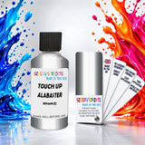 Scooby’s Paints 30ml touch up paint suitable for ACURA paint code NH700-M-E