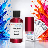 Scooby’s Paints 30ml touch up paint suitable for ACURA paint code R504-P