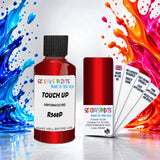 Scooby’s Paints 30ml touch up paint suitable for ACURA paint code R568-P
