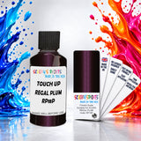 Scooby’s Paints 30ml touch up paint suitable for ACURA paint code RP18-P