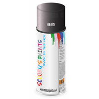 Mixed Paint For Rover 25/200 Series Amethyst Aerosol Spray A2