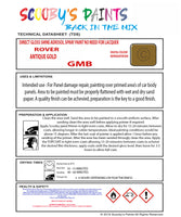 ANTIQUE GOLD Aerosol Spray Paint Code GMB Classic ROVER Model 3500/SD1 Automotive Restorative Paint Vehicle Touch-Up ROVER GMB Paint Car Restoration DIY Auto Painting Classic Car Refinishing High-Quality Spray Paint Automotive Finish Vehicle Restoration Supplies Custom Car Paint Auto Body Paint Aerosol Can Automotive Refinishing Paint for Classic Cars